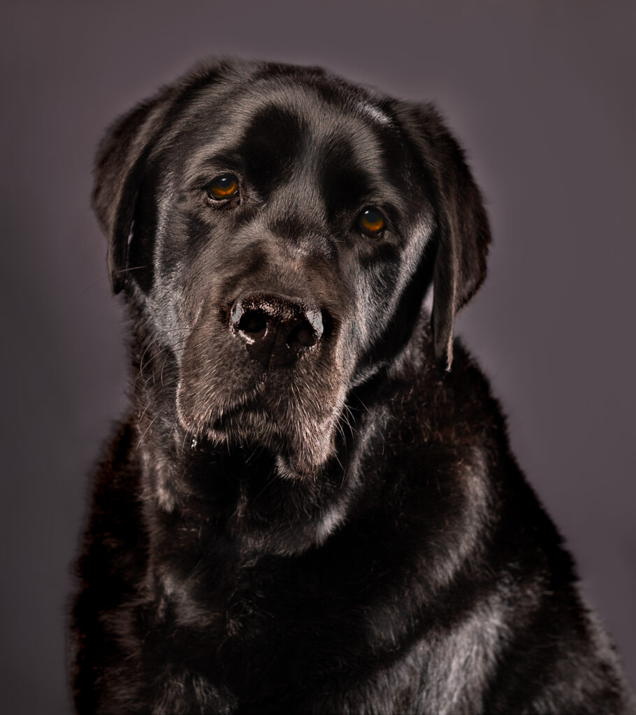 Monty 2
